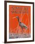 Nature Magazine - View of a Ibis in a Marsh, c.1926-Lantern Press-Framed Art Print