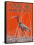 Nature Magazine - View of a Ibis in a Marsh, c.1926-Lantern Press-Framed Stretched Canvas