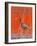 Nature Magazine - View of a Ibis in a Marsh, c.1926-Lantern Press-Framed Art Print