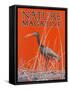 Nature Magazine - View of a Ibis in a Marsh, c.1926-Lantern Press-Framed Stretched Canvas