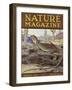 Nature Magazine - View of a Mojave Collared Lizard, c.1934-Lantern Press-Framed Art Print