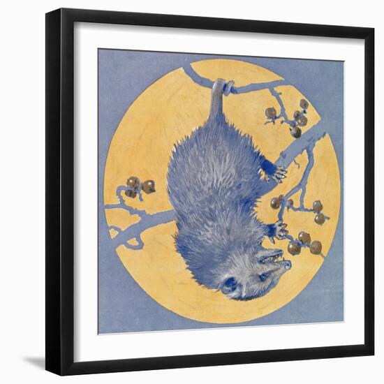 Nature Magazine - View of a Opossum Hanging Upside Down under a Full Moon, c.1926-Lantern Press-Framed Art Print