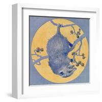 Nature Magazine - View of a Opossum Hanging Upside Down under a Full Moon, c.1926-Lantern Press-Framed Art Print