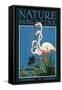 Nature Magazine - View of a Pair of Flamingos, c.1931-Lantern Press-Framed Stretched Canvas