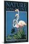 Nature Magazine - View of a Pair of Flamingos, c.1931-Lantern Press-Mounted Art Print