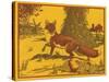 Nature Magazine - View of a Red Fox in a Pumpkin Patch, c.1953-Lantern Press-Stretched Canvas