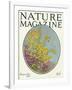 Nature Magazine - View of Blooming Flowers and a Butterfly, c.1927-Lantern Press-Framed Art Print