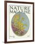 Nature Magazine - View of Blooming Flowers and a Butterfly, c.1927-Lantern Press-Framed Art Print