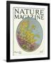 Nature Magazine - View of Blooming Flowers and a Butterfly, c.1927-Lantern Press-Framed Art Print