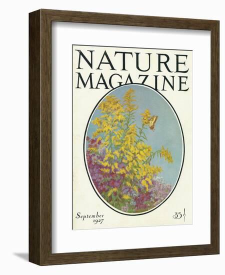 Nature Magazine - View of Blooming Flowers and a Butterfly, c.1927-Lantern Press-Framed Art Print