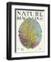 Nature Magazine - View of Blooming Flowers and a Butterfly, c.1927-Lantern Press-Framed Art Print