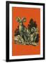 Nature Magazine - View of Long Horned Sheep, c.1948-Lantern Press-Framed Art Print