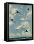 Nature Magazine - View of Sea Gulls, c.1930-Lantern Press-Framed Stretched Canvas