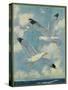 Nature Magazine - View of Sea Gulls, c.1930-Lantern Press-Stretched Canvas