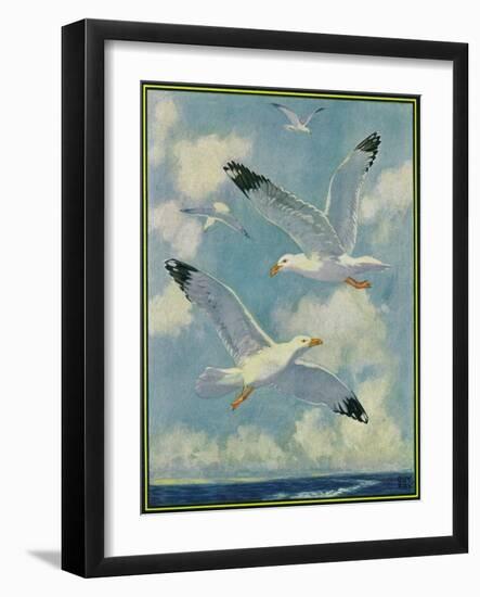 Nature Magazine - View of Sea Gulls, c.1930-Lantern Press-Framed Art Print