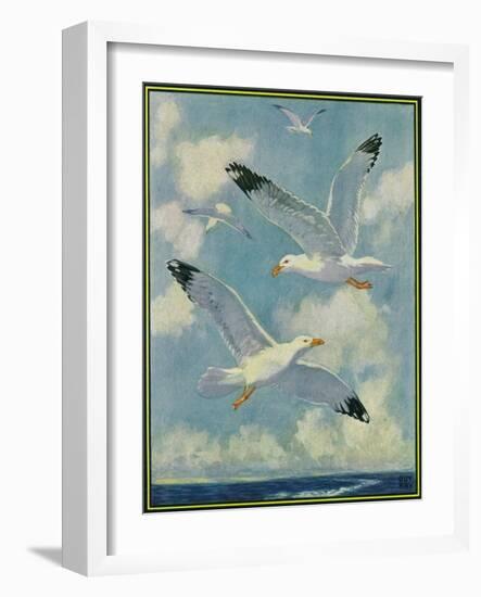 Nature Magazine - View of Sea Gulls, c.1930-Lantern Press-Framed Art Print