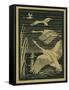 Nature Magazine - View of Swans Taking Flight, c.1938-Lantern Press-Framed Stretched Canvas