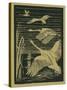 Nature Magazine - View of Swans Taking Flight, c.1938-Lantern Press-Stretched Canvas