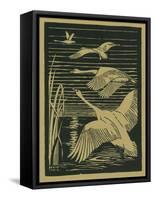Nature Magazine - View of Swans Taking Flight, c.1938-Lantern Press-Framed Stretched Canvas