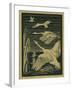 Nature Magazine - View of Swans Taking Flight, c.1938-Lantern Press-Framed Art Print