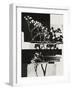 Nature Morte #1-Alisa Galitsyna-Framed Photographic Print