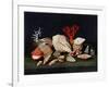 Nature Morte Aux Coquillages Et Coraux, 17Th Century (Oil on Canvas)-Jacques Linard-Framed Giclee Print