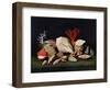 Nature Morte Aux Coquillages Et Coraux, 17Th Century (Oil on Canvas)-Jacques Linard-Framed Giclee Print