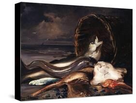 Nature morte aux poissons-Jacques-emile Blanche-Stretched Canvas