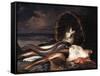 Nature morte aux poissons-Jacques-emile Blanche-Framed Stretched Canvas