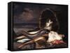 Nature morte aux poissons-Jacques-emile Blanche-Framed Stretched Canvas