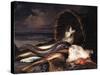 Nature morte aux poissons-Jacques-emile Blanche-Stretched Canvas