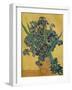 'Nature Morte: Iris', 1890-Vincent van Gogh-Framed Giclee Print