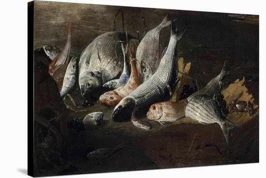 Nature morte. Poissons et crabes-Giuseppe Recco-Stretched Canvas