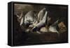 Nature morte. Poissons et crabes-Giuseppe Recco-Framed Stretched Canvas