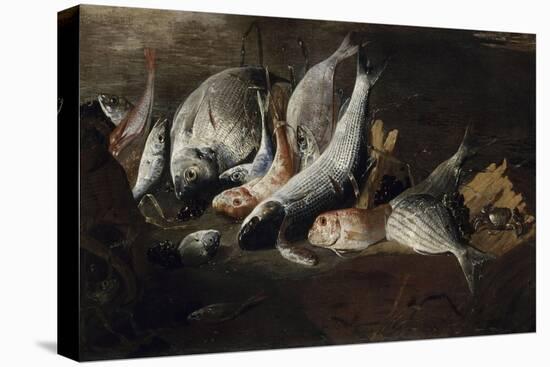 Nature morte. Poissons et crabes-Giuseppe Recco-Stretched Canvas