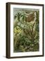 Nature Nineteenth Century Flower Leaves Tree Beetle-null-Framed Giclee Print