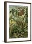 Nature Nineteenth Century Flower Leaves Tree Beetle-null-Framed Giclee Print