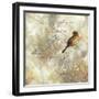 Nature Notation II-Carol Robinson-Framed Art Print