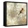 Nature Notation II-Carol Robinson-Framed Stretched Canvas