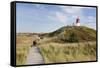 Nature Path, Lighthouse Norddorf, Amrum-Markus Lange-Framed Stretched Canvas