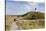 Nature Path, Lighthouse Norddorf, Amrum-Markus Lange-Stretched Canvas