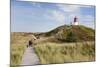 Nature Path, Lighthouse Norddorf, Amrum-Markus Lange-Mounted Photographic Print