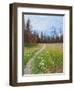 Nature Path-Gail Peck-Framed Art Print