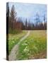 Nature Path-Gail Peck-Stretched Canvas