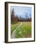 Nature Path-Gail Peck-Framed Art Print