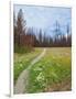 Nature Path-Gail Peck-Framed Art Print