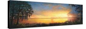 Nature Prevails-Bruce Nawrocke-Stretched Canvas