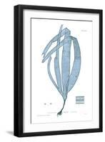 Nature Print in Aqua II-Vision Studio-Framed Art Print