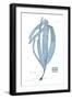 Nature Print in Aqua II-Vision Studio-Framed Art Print