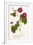 Gramercy White